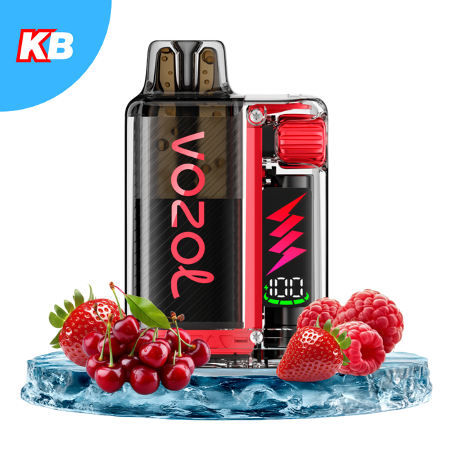 VOZOL Vista