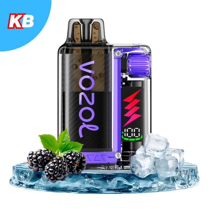 VOZOL Vista Plug Starter Kit Blackberry Ice