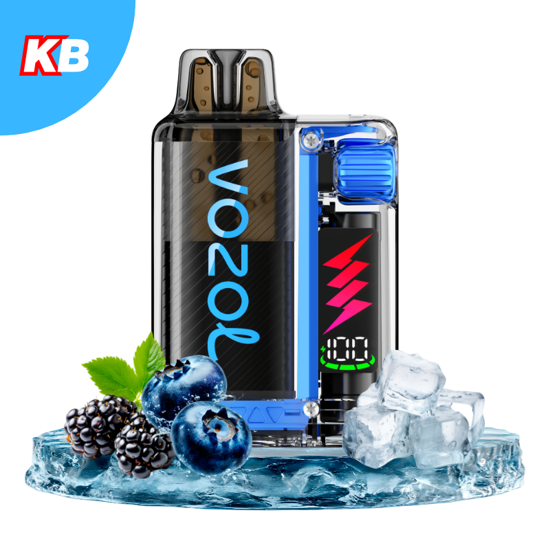 VOZOL Vista Plug Starter Kit Blue Razz Ice