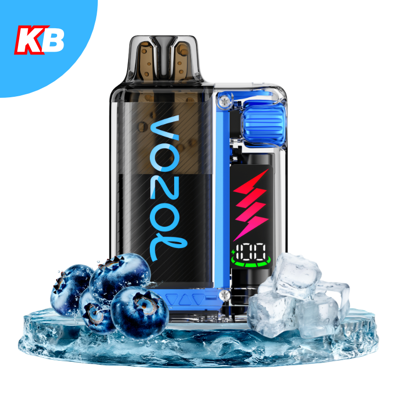 VOZOL Vista Plug Starter Kit Blueberry Ice