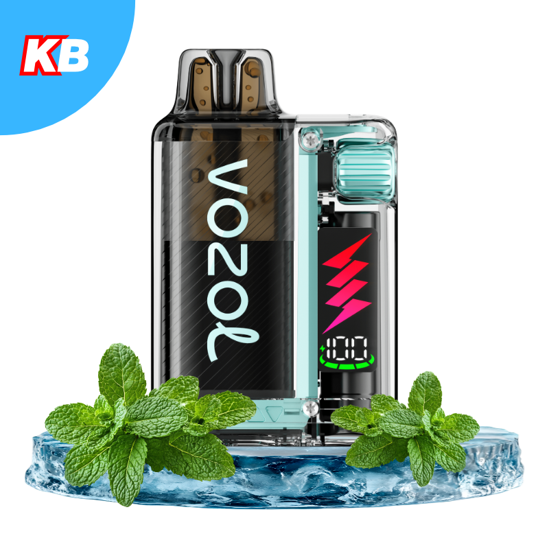 VOZOL Vista Plug Starter Kit Fresh Mint