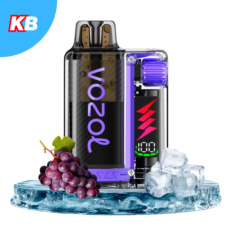 VOZOL Vista Plug Starter Kit Grape Ice