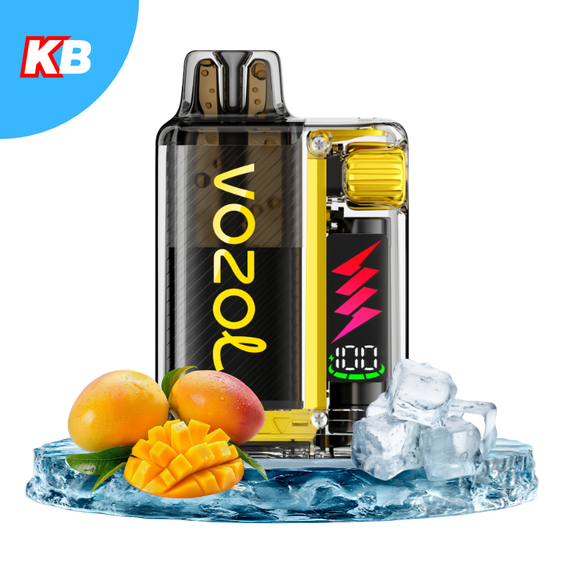 VOZOL Vista Plug Starter Kit Mango Ice