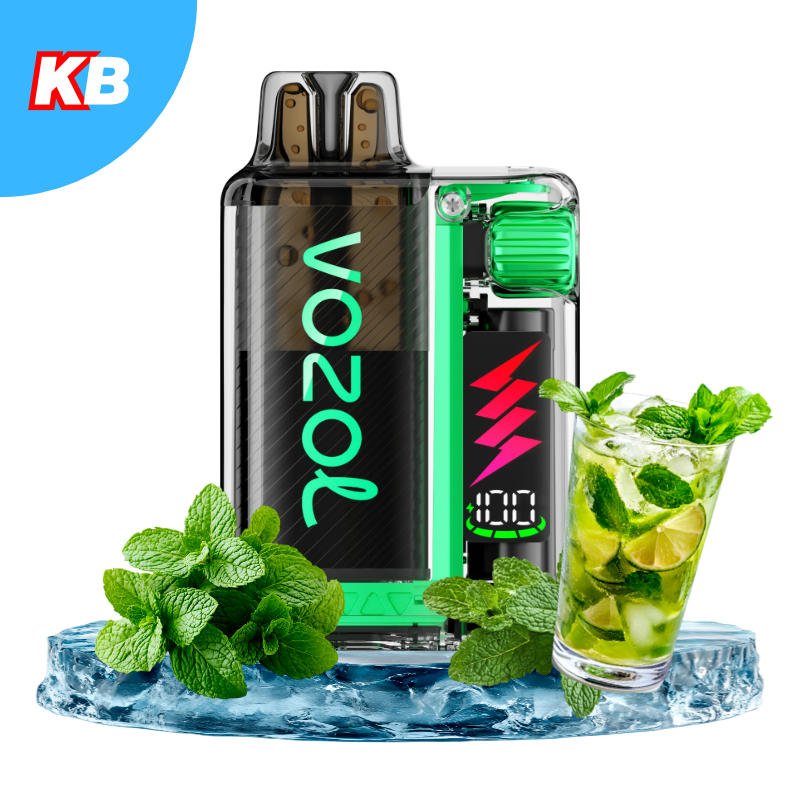 VOZOL Vista Plug Starter Kit Menthol Mojito