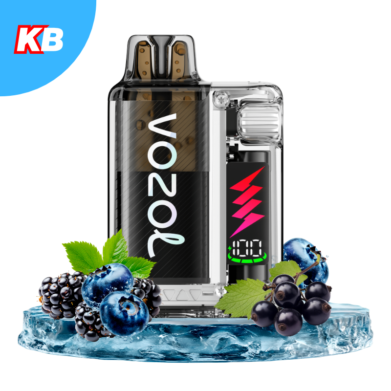 VOZOL Vista Plug Starter Kit MR Blue