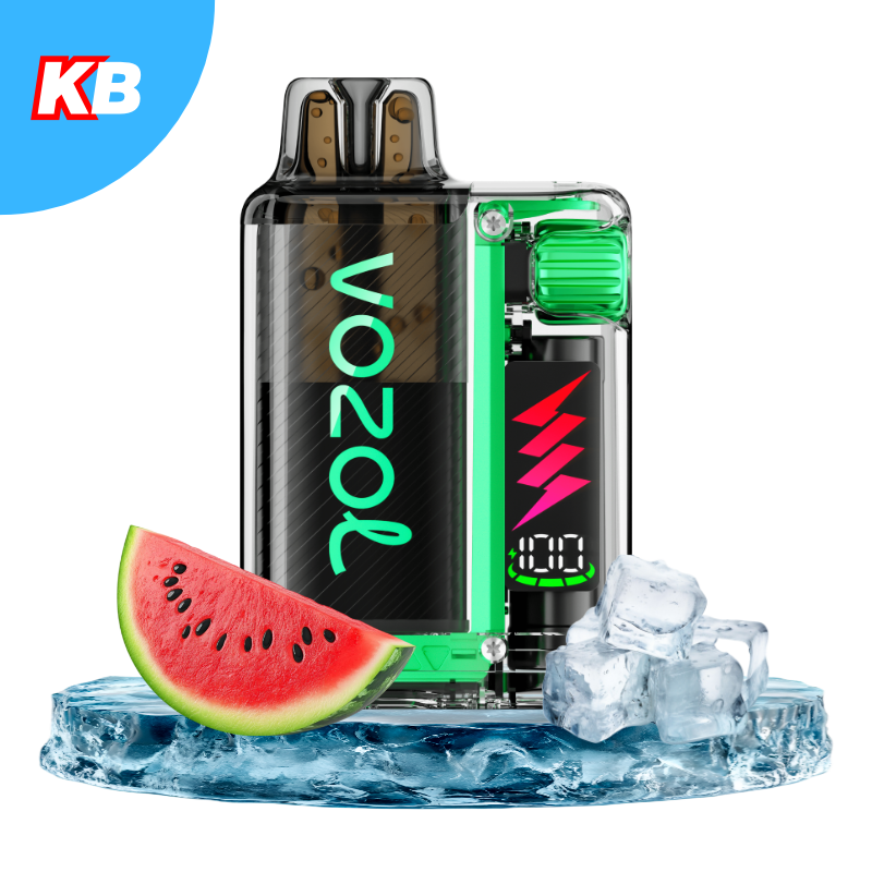 VOZOL Vista Plug Starter Kit Watermelon Ice