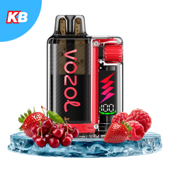 VOZOL Vista