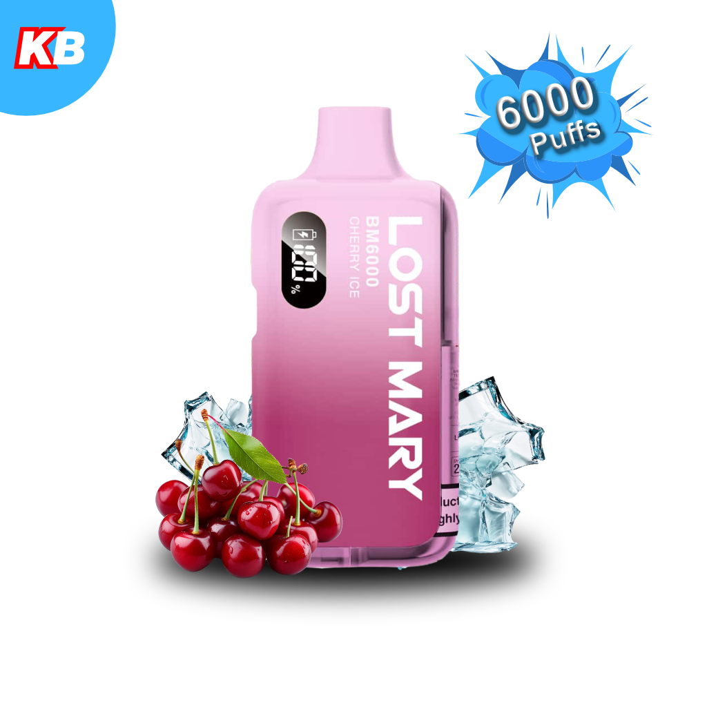Lost Mary BM6000 Vape Kit (5er Display)