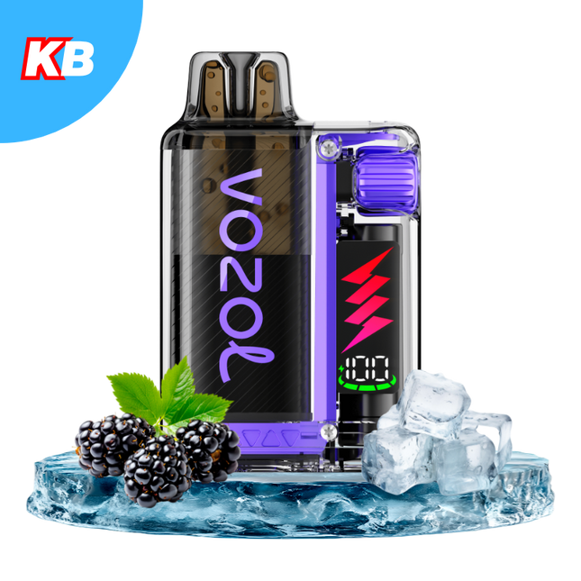 Vozol Vista Plug Starter Kit (5er Display)