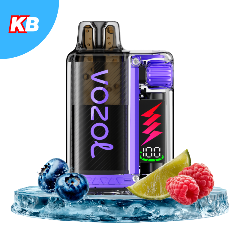 VOZOL Vista Plug Starter Kit Blueberry Sour Raspberry