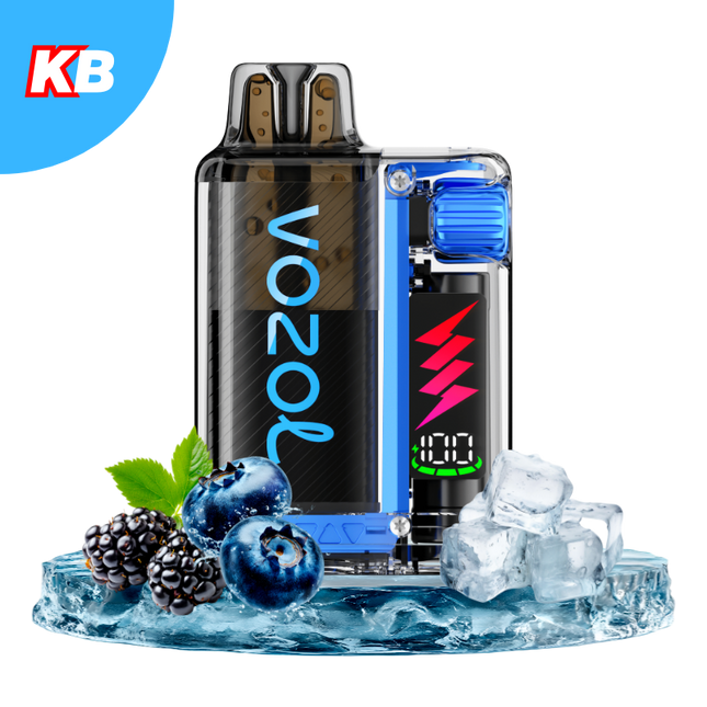 Vozol Vista Plug Starter Kit (5er Display)