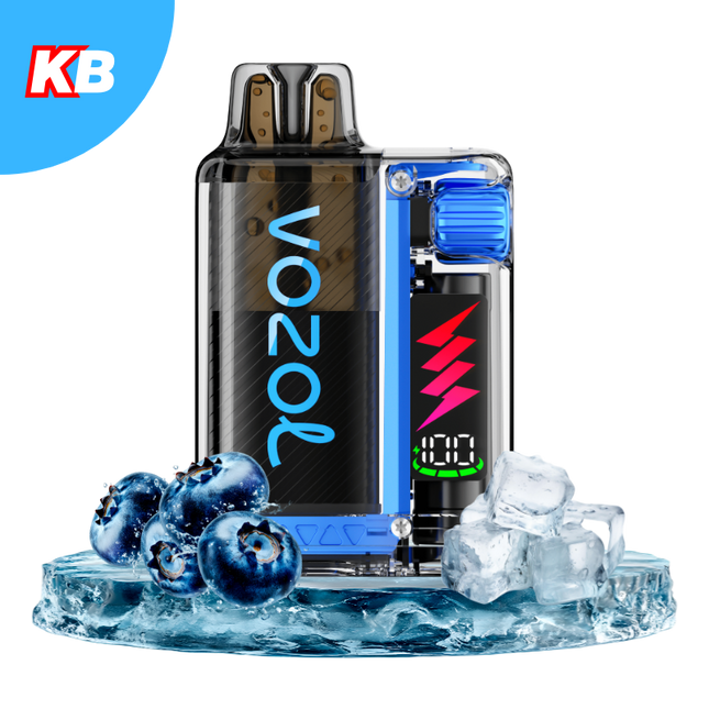 Vozol Vista Plug Starter Kit (5er Display)