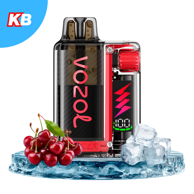 Vozol Vista Plug Starter Kit (5er Display)