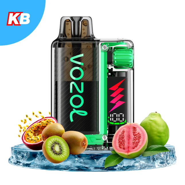 Vozol Vista Plug Starter Kit (5er Display)