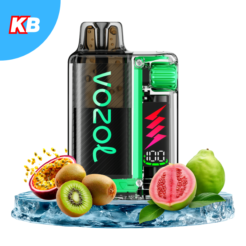VOZOL Vista Plug Starter Kit Kiwi Passion Fruit Guava