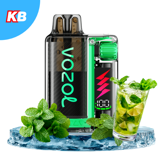 Vozol Vista Plug Starter Kit (5er Display)