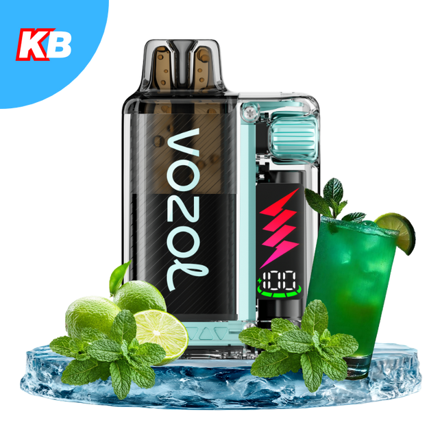Vozol Vista Plug Starter Kit (5er Display)