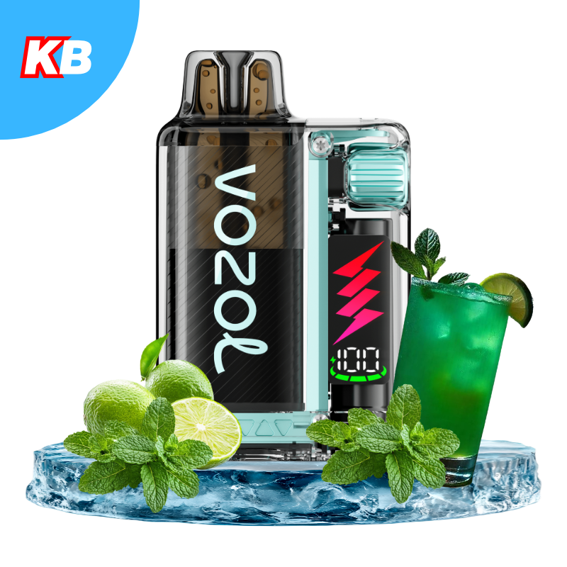 Vozol Vista Plug Starter Kit (5er Display)