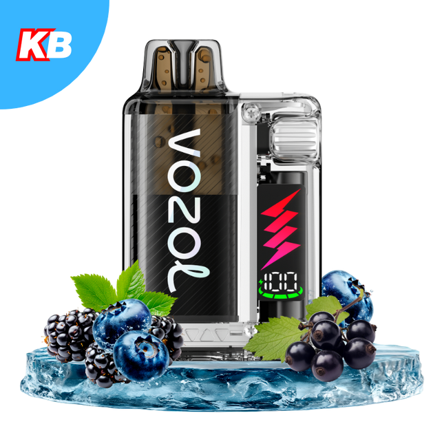 Vozol Vista Plug Starter Kit (5er Display)