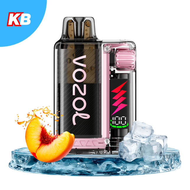 Vozol Vista Plug Starter Kit (5er Display)