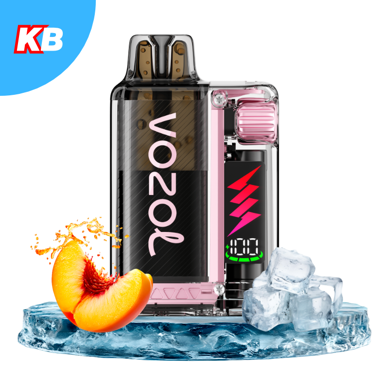 VOZOL Vista Plug Starter Kit Peach Ice