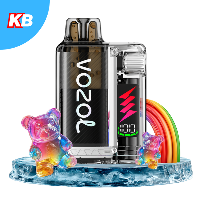 Vozol Vista Plug Starter Kit (5er Display)