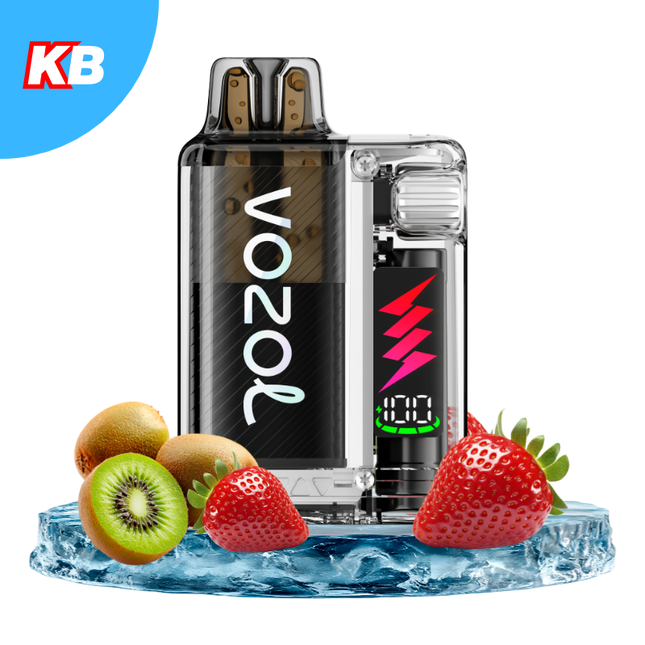 Vozol Vista Plug Starter Kit (5er Display)