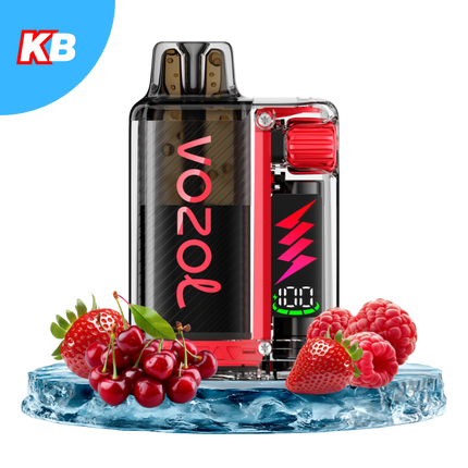 Vozol Vista Plug Starter Kit (5er Display)