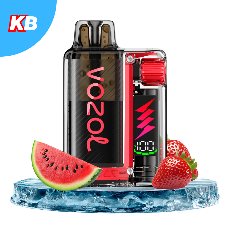 VOZOL Vista Plug Starter Kit Strawberry Watermelon