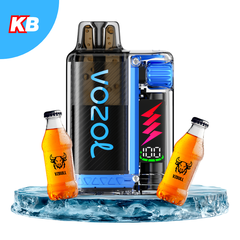 Vozol Vista Plug Starter Kit (5er Display)